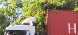 Camión quedó atorado por un árbol - C9N