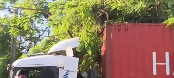 Camión quedó atorado por un árbol - SNT