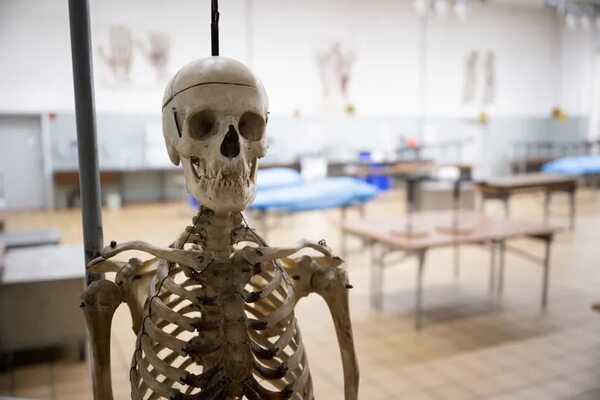 Miles en Alemania quieren donar sus cuerpos a la ciencia - Ciencia - ABC Color