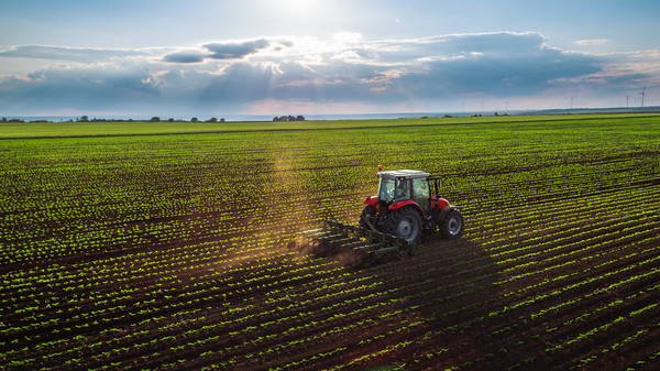 Exportaciones de arroz generaron ingreso de USD 102 millones en el primer cuatrimestre