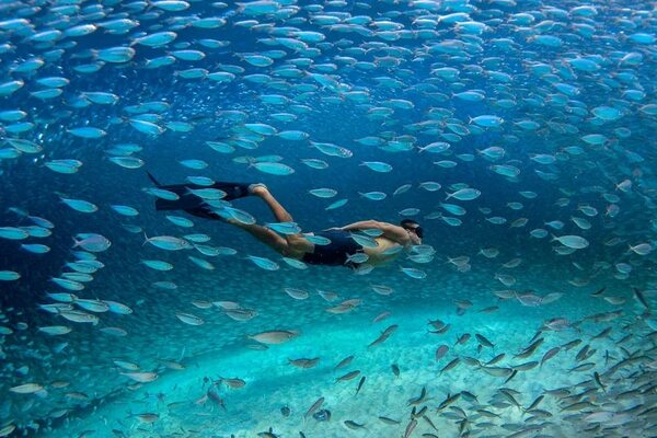 Bonaire: bucear con la corriente en la paradisíaca isla caribeña - Viajes - ABC Color