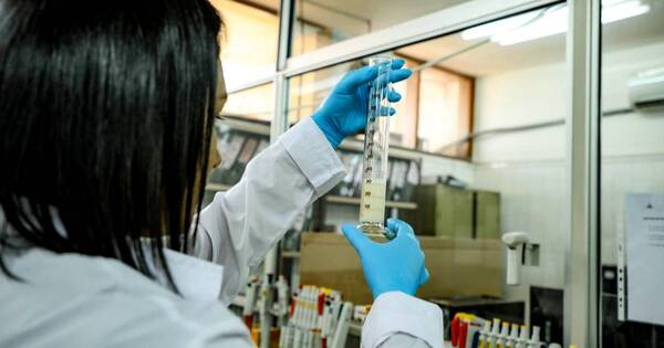 La Nación / Gripe aviar y su impacto: pequeños productores tuvieron que cerrar sus granjas