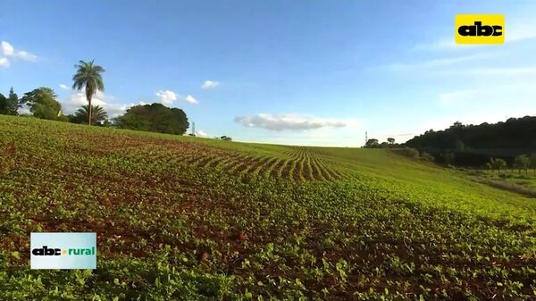 Video: Paraguayos son reconocidos como “Leyendas de la siembra directa” - ABC Rural - ABC Color
