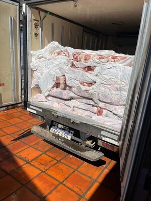 Más de 1.500 kilos de carne porcina de contrabando “viajaron” hasta Ñemby  - Policiales - ABC Color