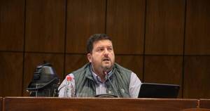 La Nación / Debaten en audiencia pública proyecto de ley sobre créditos de carbono