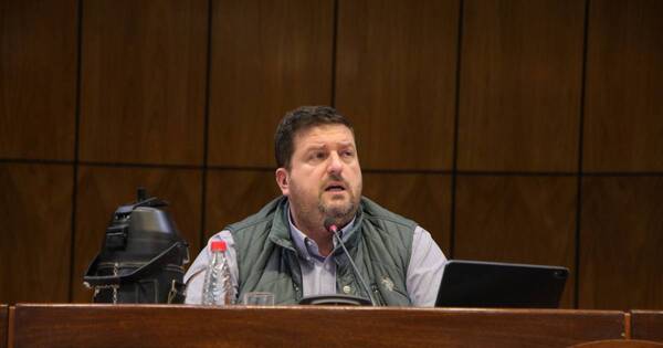 La Nación / Debaten en audiencia pública proyecto de ley sobre créditos de carbono