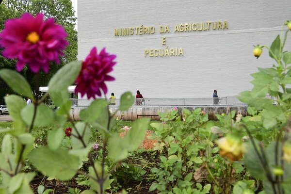 Ministerio de Agricultura de Brasil declara emergencia por gripe aviar