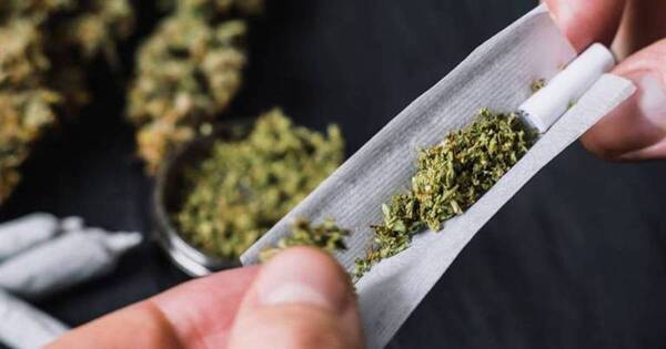 La Nación / Senad decomisa marihuana