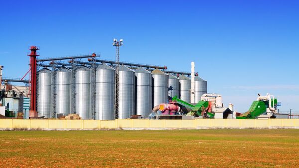 Exportaciones de bienes agroindustriales superaron los USD 300 millones en abril - MarketData