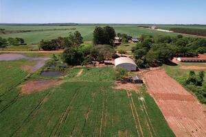 Procesan a productor agrícola por varios delitos ambientales - La Clave