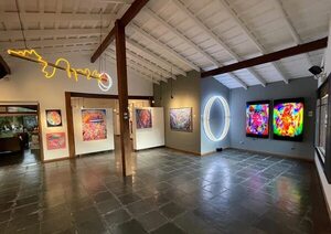 “Ida y Vuelta”, la poética transmedia de Sebastián Boesmi que se expone en Asunción - Artes Plásticas - ABC Color