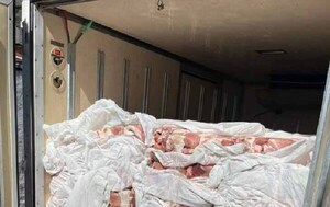 Incautan más de 1.500 kilos de carne porcina ingresadas de contrabando en Ñemby – Prensa 5