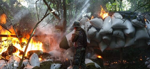 Operación CUT: continúa ataques a centros de producción de marihuana - Radio Imperio