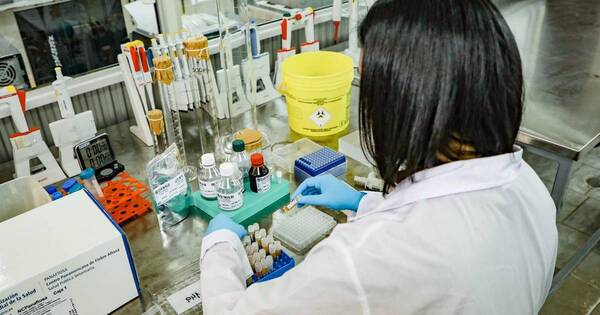 La Nación / Senacsa confirma cuarto foco de gripe aviar en el Chaco