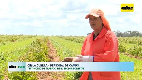 Video: Mujeres incursionan en el trabajo forestal  - ABC Rural - ABC Color
