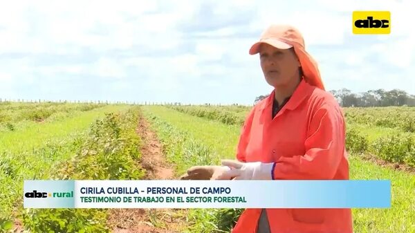 Video: Mujeres incursionan en el trabajo forestal - ABC Rural - ABC Color