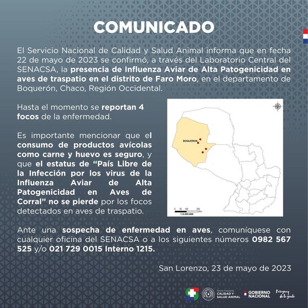 Confirmado cuarto foco de gripe aviar en Paraguay - El Trueno