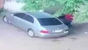 Diario HOY | Crimen de joven madre: la mataron en un club y arrojaron el cuerpo a un arroyo