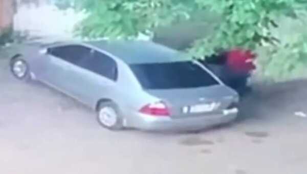 Diario HOY | Crimen de joven madre: la mataron en un club y arrojaron el cuerpo a un arroyo