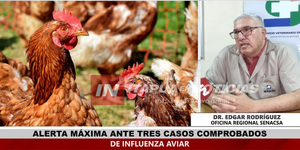 ALERTA MÁXIMA ANTE APARICIÓN DE CASOS DE INFLUENZA AVIAR EN PARAGUAY - Itapúa Noticias