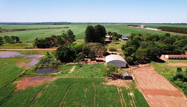 Diario HOY | Productor agrícola es imputado por delitos ambientales en el este