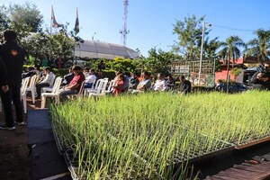 ENTREGAN 7.680 PLANTINES DE CEBOLLA A FIN DE IMPULSAR EL DESARROLLO DE PRODUCTORES LOCALES