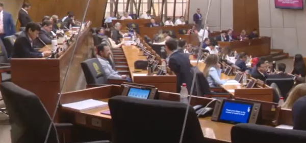 Diputados tratan juicio político a Bogarín y desafuero de Erico Galeano - C9N