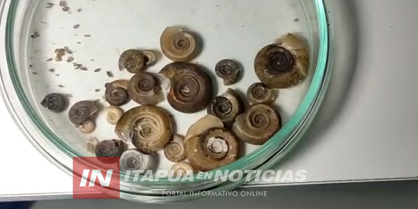 LABORATORIO DE CONTROL Y VIGILANCIA DE ESQUISTOSOMIASIS FUNCIONA EN ITAPÚA - Itapúa Noticias
