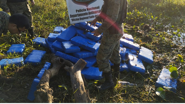 Incautan alrededor de 500 kilos de marihuana en Salto del Guairá