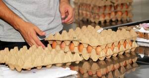 La Nación / Gripe aviar: productores de huevos abastecen al mercado de manera normal