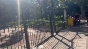 Cierre de Plaza Uruguaya afecta a librerías: “no entra ni una sola alma”, lamentó una de las dueñas