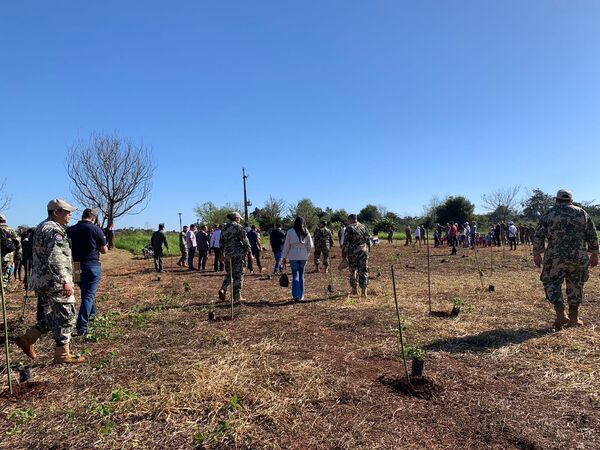 Reforestación de la Reserva Natural de Edelira, de la Base Aérea Aviadores del Chaco | 1000 Noticias