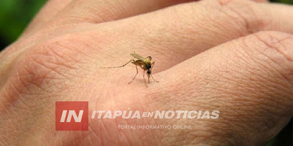 SIGUE EN DISMINUCIÓN LOS CASOS DE DENGUE Y CHIKUNGUNYA EN ITAPÚA - Itapúa Noticias