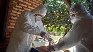FAO acompaña esfuerzos de Paraguay para mitigar propagación de gripe aviar