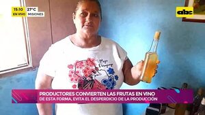 Misiones: Productores convierten las frutas en vino  - Ensiestados - ABC Color