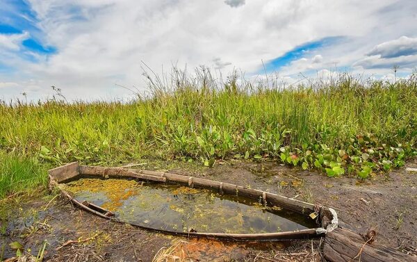 Isla Susû, un monumento natural a merced de los depredadores en Caazapá - Nacionales - ABC Color