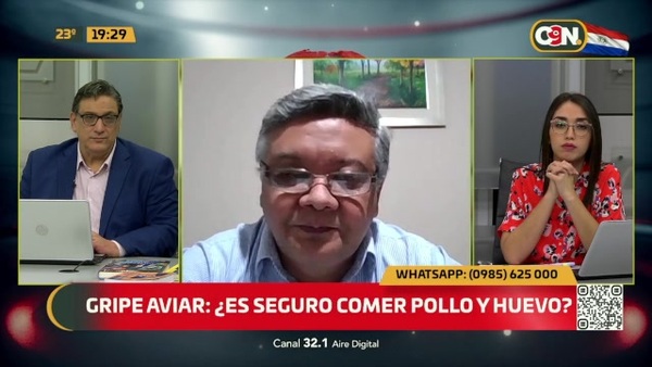 Gripe aviar: ¿Es seguro comer pollo y huevo? - C9N