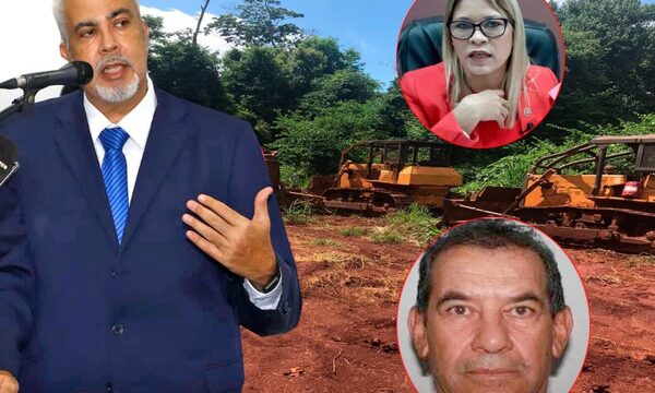 Gigantesco esquema de protección y blanqueo en casos de delitos ambientales en Alto Paraná – Diario TNPRESS