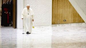 Papa Francisco pide terminar con los “pecados ecológicos”