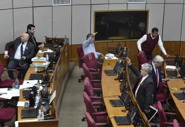 Un senador liberal renunciaría al cargo - Política - ABC Color