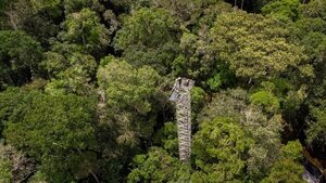 Científicos simularán cambio climático en la Amazonía para estudiar sus efectos - Ciencia - ABC Color
