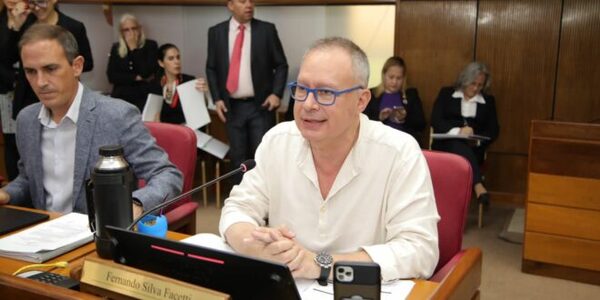 Silva Facetti renunció al Senado: “Ya no da gusto”