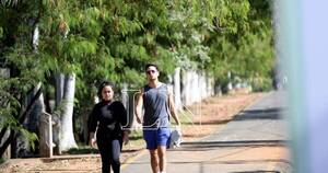 La Nación / Caminar al aire libre vs. en cinta: ¿qué es mejor para la salud?