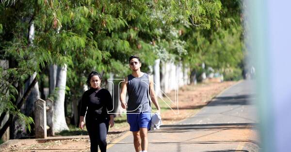 La Nación / Caminar al aire libre vs. en cinta: ¿qué es mejor para la salud?