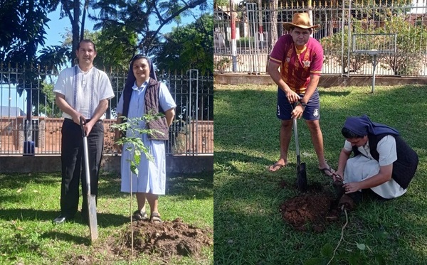 Arborizan predio del templo parroquial de San José de los Arroyos - Noticiero Paraguay
