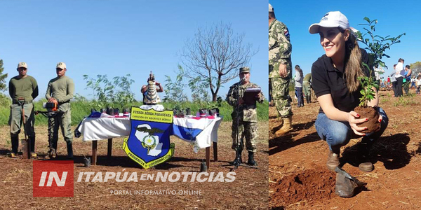 REALIZAN REFORESTACIÓN EN SECTOR AFECTADO DESDE HACE AÑOS EN EDELIRA 60 - Itapúa Noticias