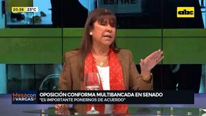 Celeste Amarilla: ‘’Esta derrota es culpa de años de inconducta del PLRA’' - Mesa de Periodistas - ABC Color