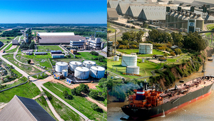 Dos gigantes de Bunge en Paraguay y Argentina: Caiasa y Terminal 6, los mayores procesadores de granos en sus países