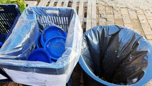 CGR detecta 53 irregularidades del MEC en licitaciones de alimentos