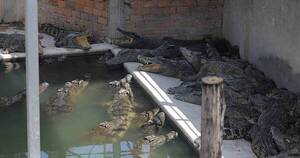 La Nación / Camboyano murió despedazado por 40 cocodrilos